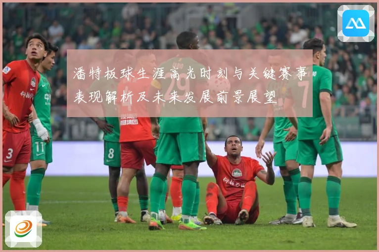 潘特板球生涯高光时刻与关键赛事表现解析及未来发展前景展望