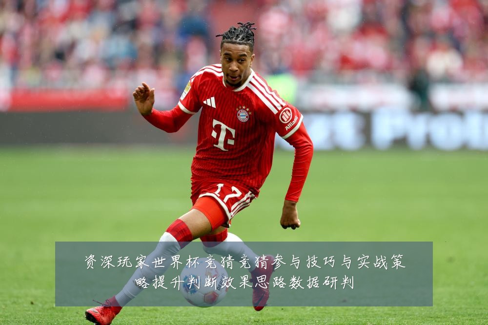资深玩家世界杯竞猜竞猜参与技巧与实战策略提升判断效果思路数据研判